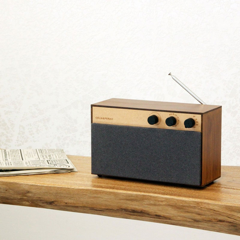 radio enceinte diy